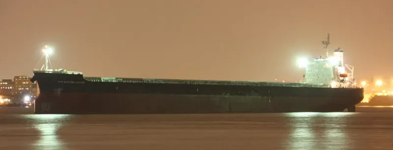 FAR EASTERN JUPITER Bulk Carrier IMO 9442768 photo 3