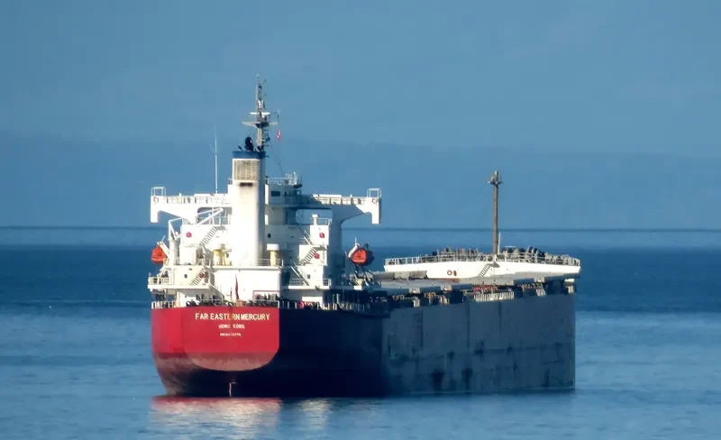 FAR EASTERN MERCURY Bulk Carrier IMO 9442770 photo 3