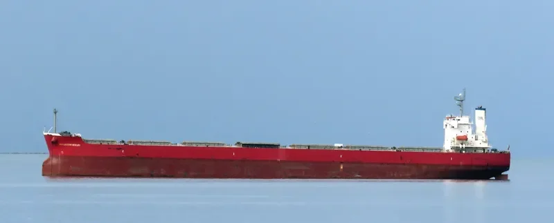 FAR EASTERN MERCURY Bulk Carrier IMO 9442770 photo 4