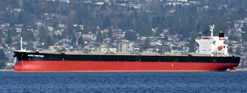 NORD FORTUNE Bulk Carrier IMO 9442926 photo 3