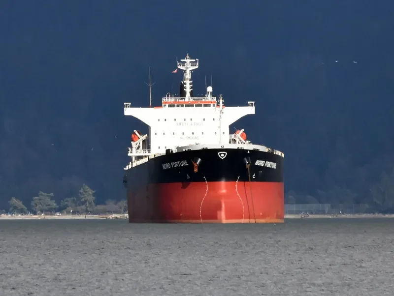 NORD FORTUNE Bulk Carrier IMO 9442926 photo 6