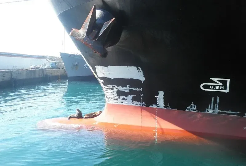 EXPRESS SPAIN Container Ship IMO 9443047 photo 5