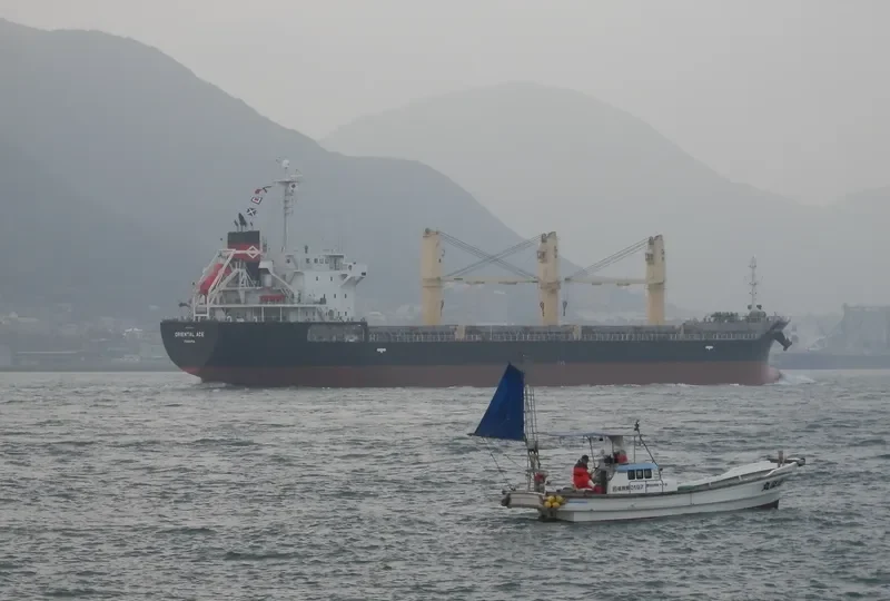 ORIENTAL ACE Bulk Carrier IMO 9443114 photo 9