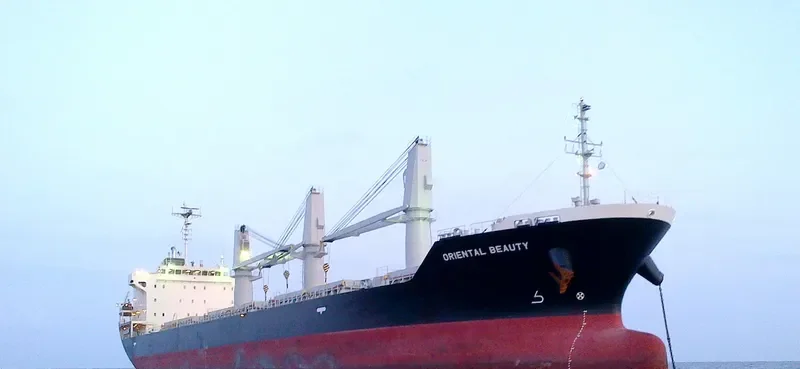 ORIENTAL BEAUTY Bulk Carrier IMO 9443138