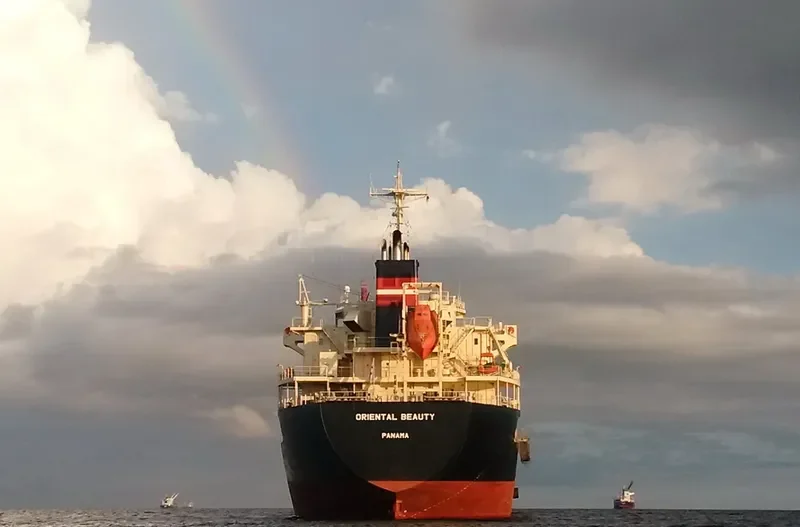 ORIENTAL BEAUTY Bulk Carrier IMO 9443138 photo 6