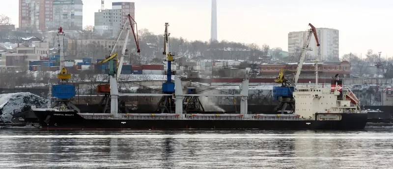 ORIENTAL BEAUTY Bulk Carrier IMO 9443138 photo 8