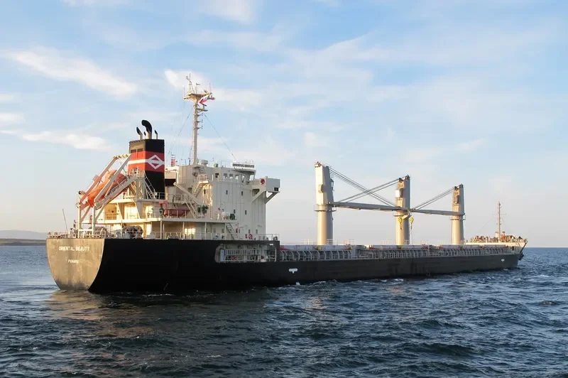 ORIENTAL BEAUTY Bulk Carrier IMO 9443138 photo 10