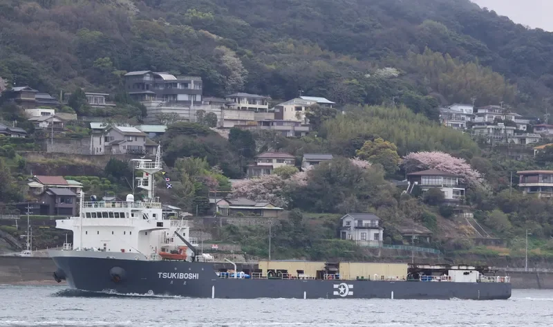 NEW DRAGON General Cargo IMO 9443217 photo 3