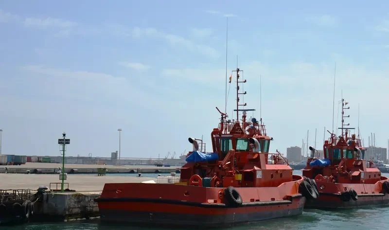 R SOFIA General Cargo IMO 9443279 photo 7
