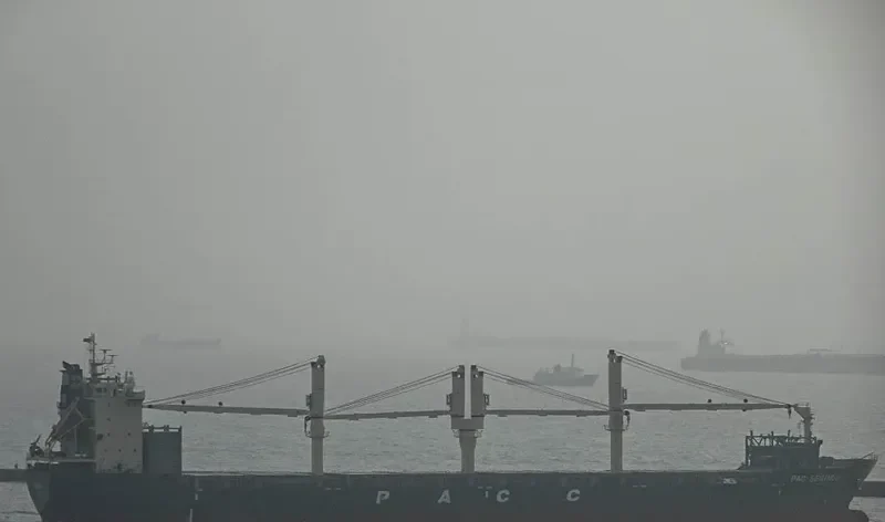 PAC SEGINUS Container Ship IMO 9443358
