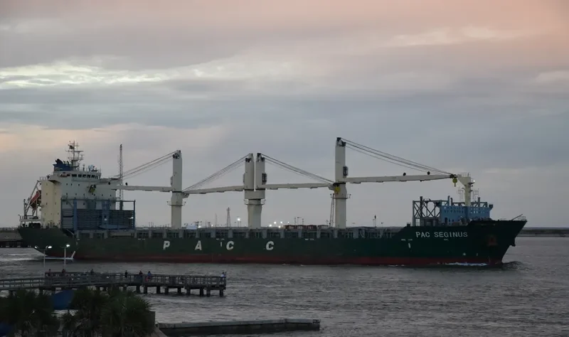 PAC SEGINUS Container Ship IMO 9443358 photo 2