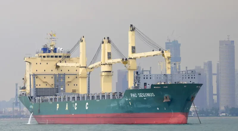 PAC SEGINUS Container Ship IMO 9443358 photo 4