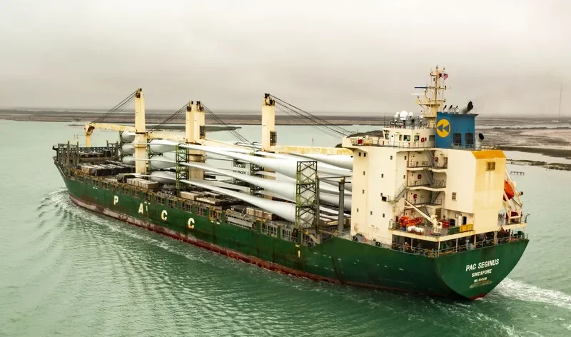 PAC SEGINUS Container Ship IMO 9443358 photo 8
