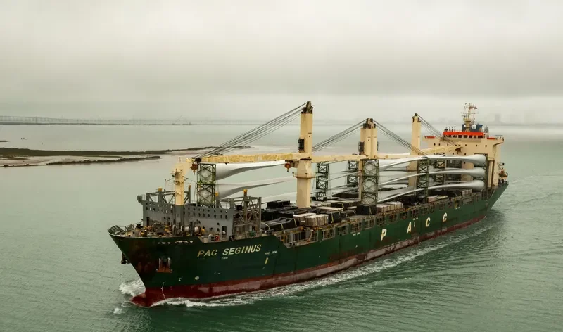 PAC SEGINUS Container Ship IMO 9443358 photo 10