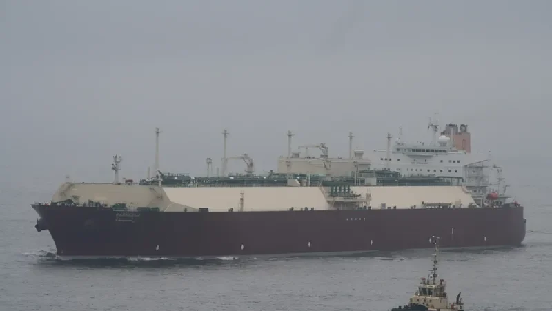 RASHEEDA General Cargo IMO 9443413 photo 10