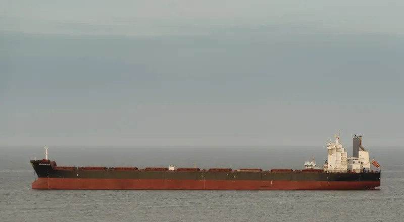 BELGRAVIA Bulk Carrier IMO 9443592 photo 10