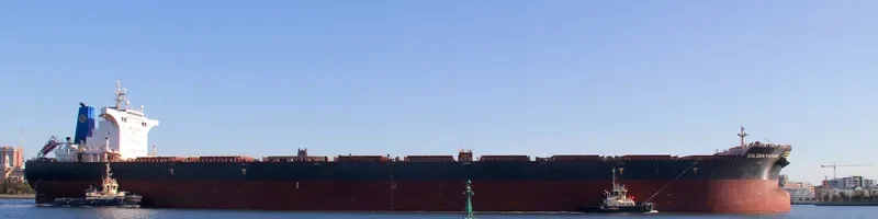 GOLDEN FUTURE Bulk Carrier IMO 9443607