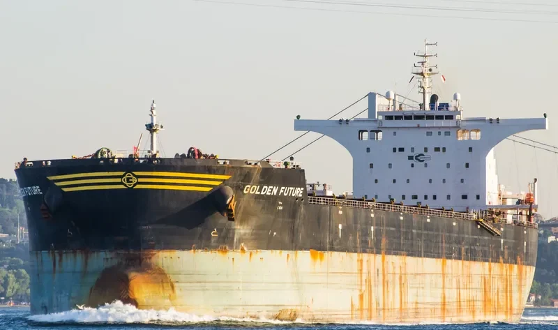 GOLDEN FUTURE Bulk Carrier IMO 9443607 photo 3