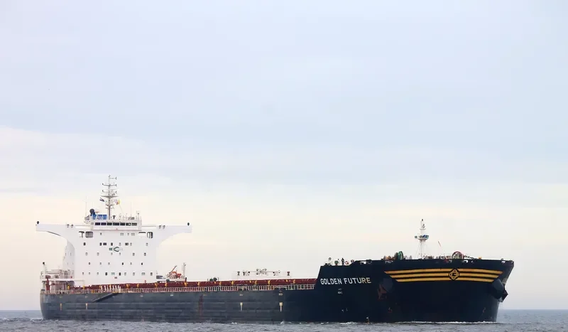 GOLDEN FUTURE Bulk Carrier IMO 9443607 photo 9