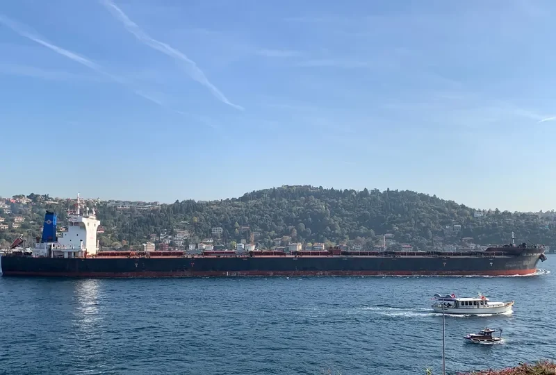 GOLDEN ZHEJIANG Bulk Carrier IMO 9443619 photo 6