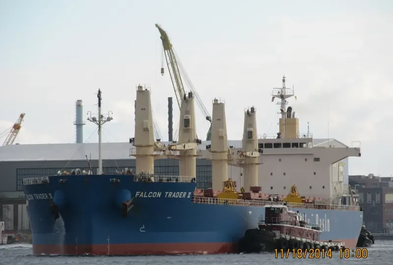 LUMOSO KARUNIA II Bulk Carrier IMO 9443803 photo 3
