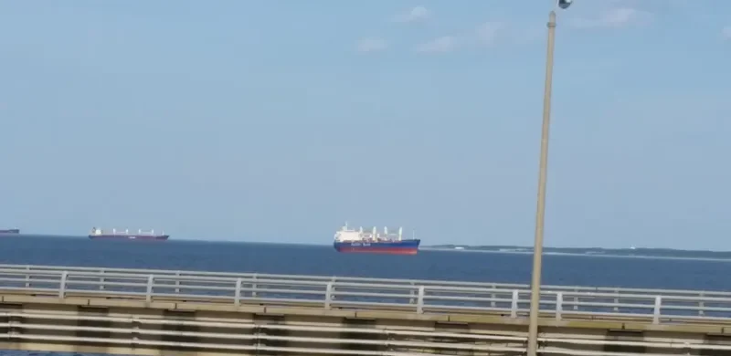 LUMOSO KARUNIA II Bulk Carrier IMO 9443803 photo 5