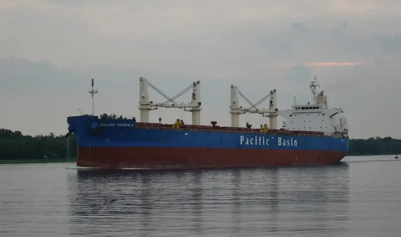 LUMOSO KARUNIA II Bulk Carrier IMO 9443803 photo 7