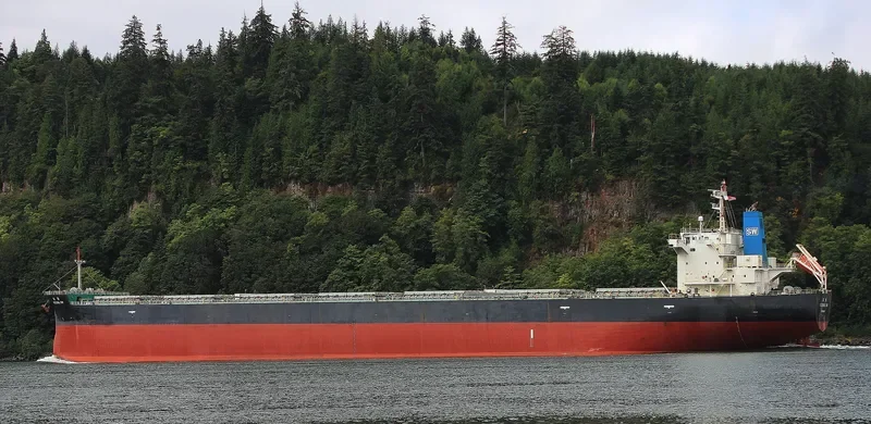 FEDERAL SW Bulk Carrier IMO 9443815 photo 2