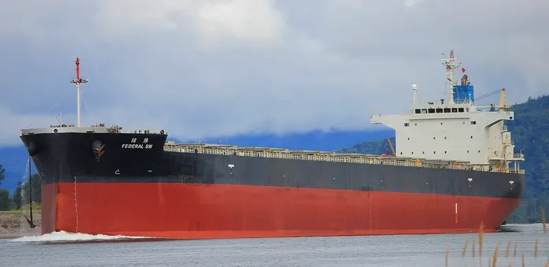 FEDERAL SW Bulk Carrier IMO 9443815 photo 4