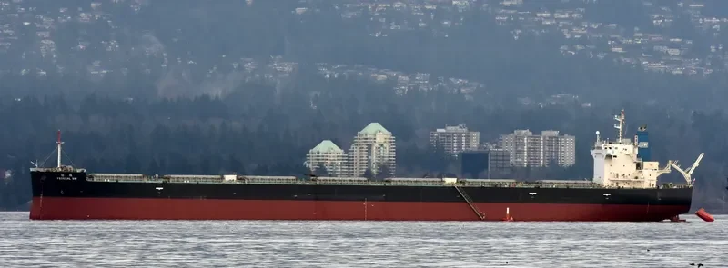FEDERAL SW Bulk Carrier IMO 9443815 photo 5
