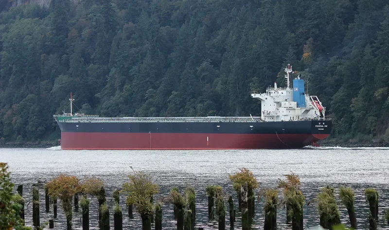 FEDERAL SW Bulk Carrier IMO 9443815 photo 10