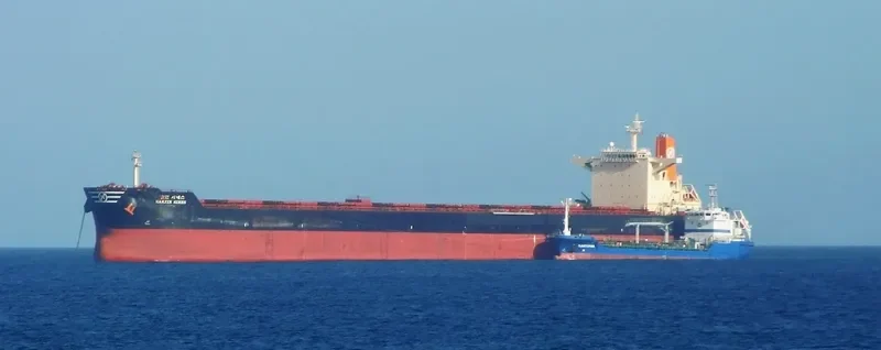 HL SINES Bulk Carrier IMO 9444027 photo 10