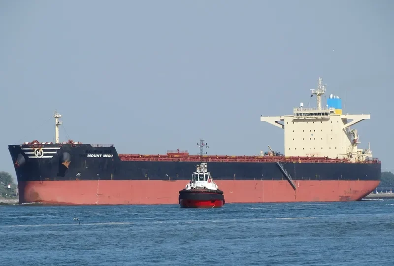 STAR LYRA Bulk Carrier IMO 9444039