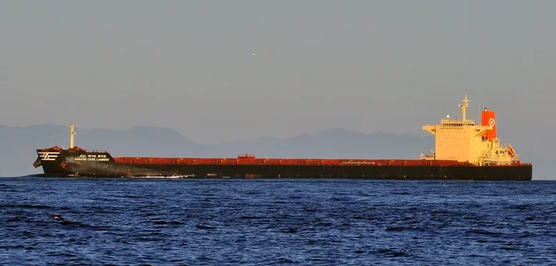 STAR LYRA Bulk Carrier IMO 9444039 photo 5
