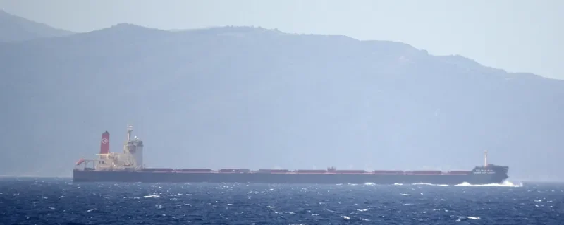STAR LYRA Bulk Carrier IMO 9444039 photo 6