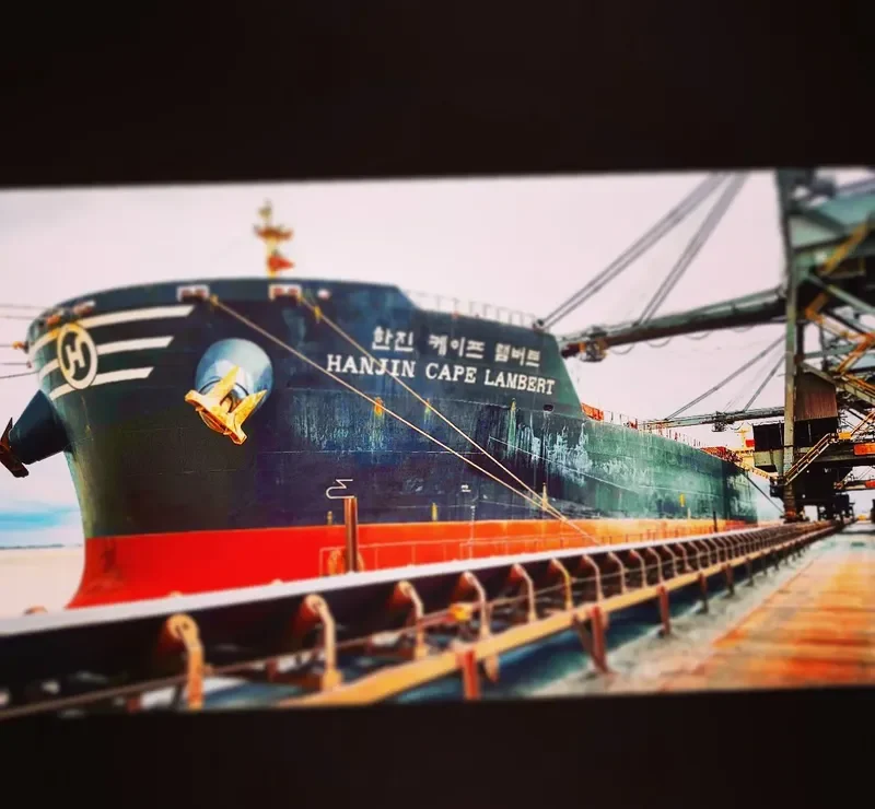 STAR LYRA Bulk Carrier IMO 9444039 photo 8