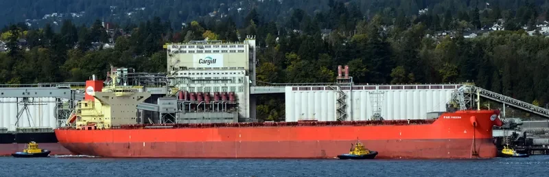 PAN FREESIA Bulk Carrier IMO 9444247 photo 2