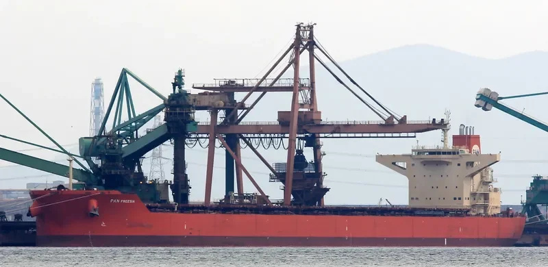 PAN FREESIA Bulk Carrier IMO 9444247 photo 9