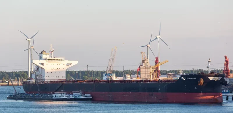 STAR CLAUDINE Bulk Carrier IMO 9444534 photo 3