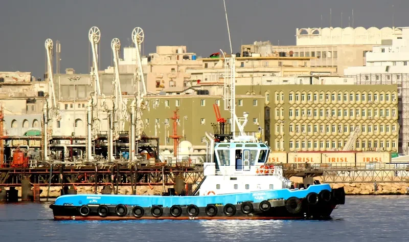 JELYANA General Cargo IMO 9444699