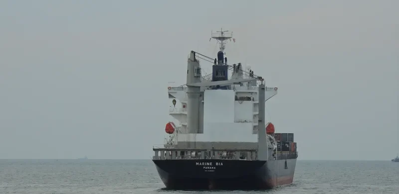 MARINE BIA Container Ship IMO 9445007 photo 3