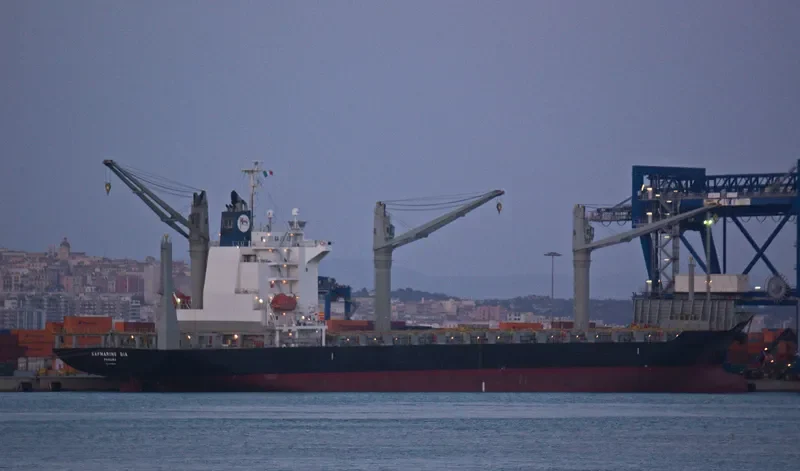 MARINE BIA Container Ship IMO 9445007 photo 7