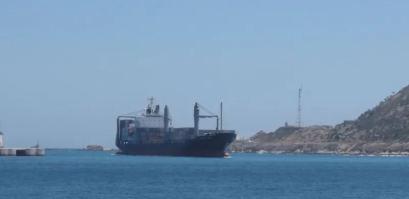 MARINE TARABA Container Ship IMO 9445019 photo 10