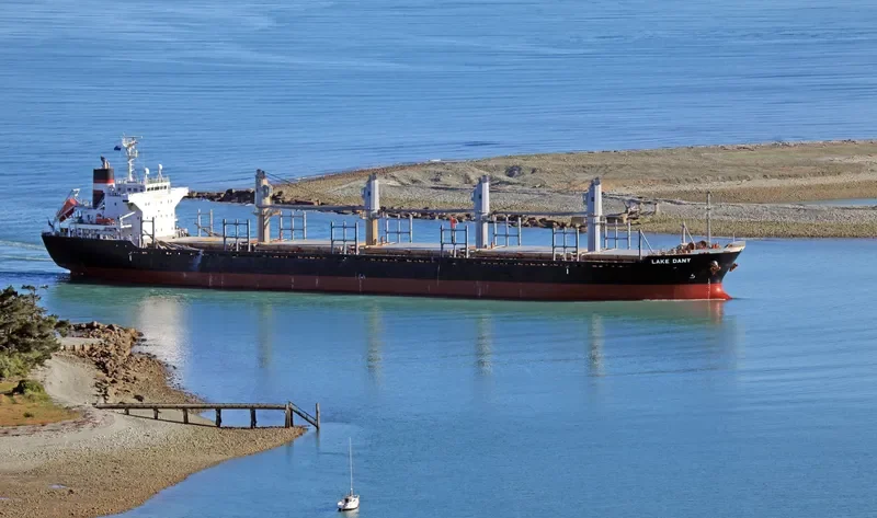 LAKE DANY Bulk Carrier IMO 9445021 photo 7