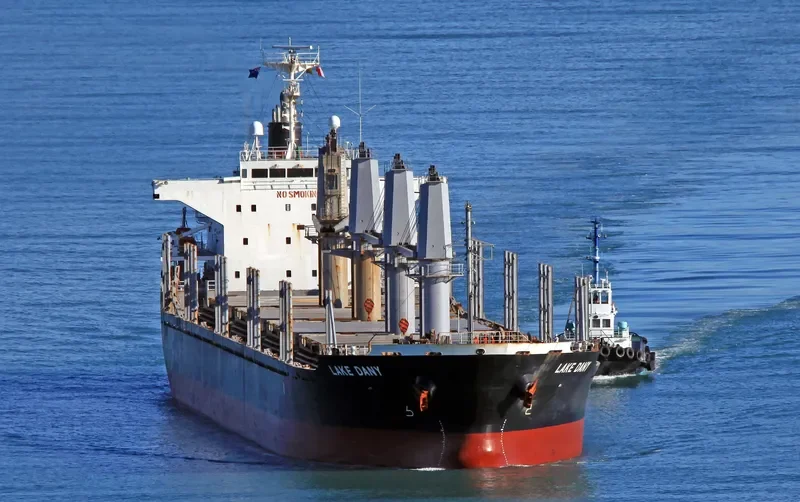 LAKE DANY Bulk Carrier IMO 9445021 photo 9