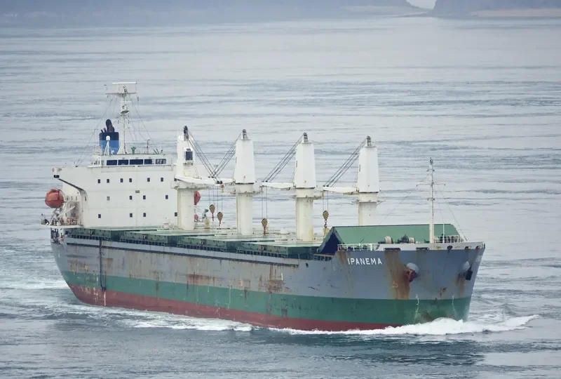 GOLDEN LIGHT 09 Bulk Carrier IMO 9445057 photo 2