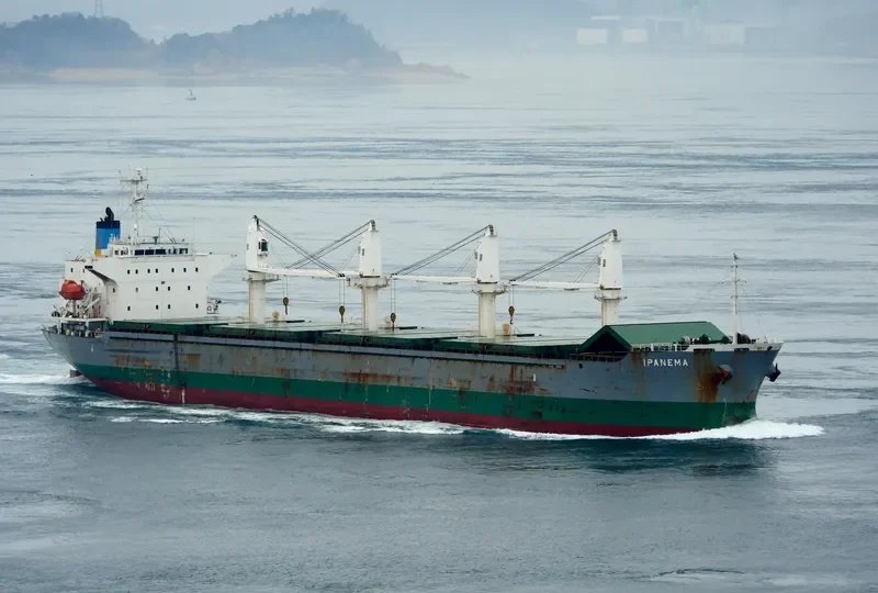 GOLDEN LIGHT 09 Bulk Carrier IMO 9445057 photo 3
