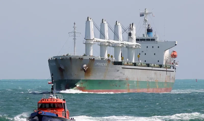 GOLDEN LIGHT 09 Bulk Carrier IMO 9445057 photo 9