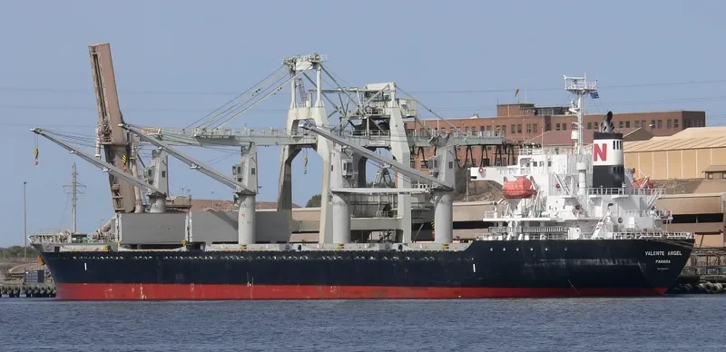 DESPINA Bulk Carrier IMO 9445124 photo 6