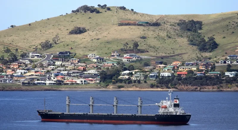 DESPINA Bulk Carrier IMO 9445124 photo 7
